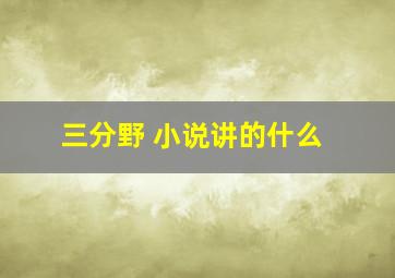 三分野 小说讲的什么